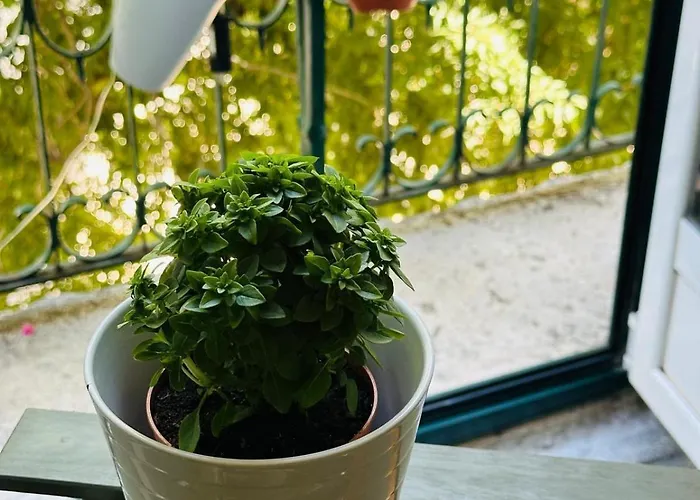 Varandas Do Marques *