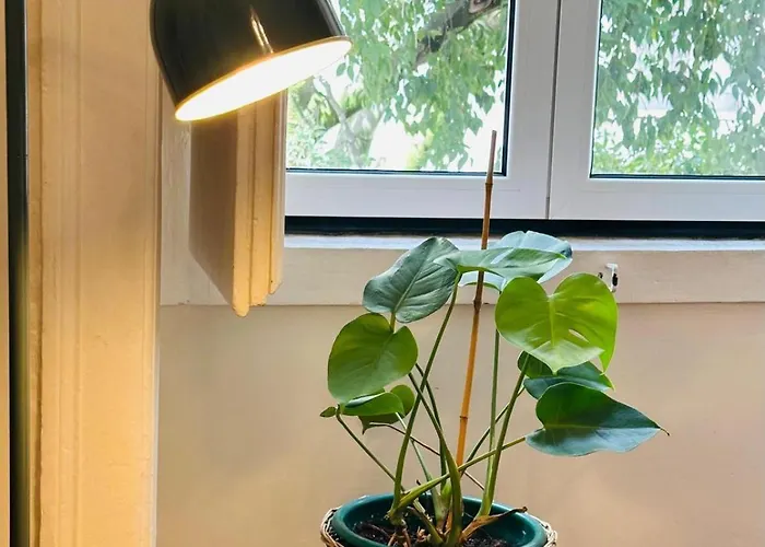 Varandas Do Marques Διαμέρισμα *