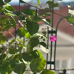 瓦拉达思多玛奎斯公寓 Lisboa