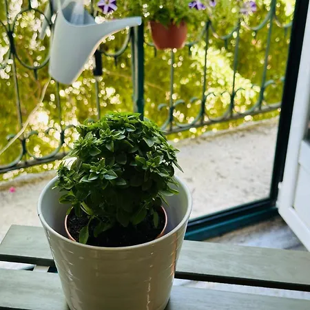 Varandas Do Marques *