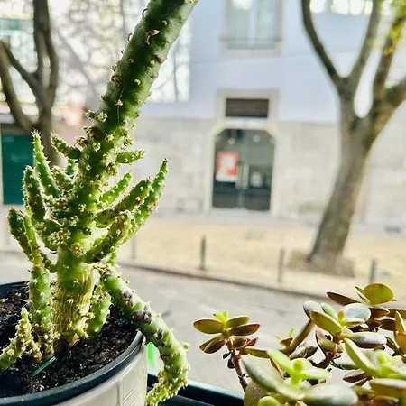 アパート Varandas Do Marques リスボン