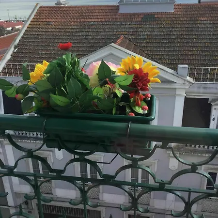Varandas Do Marques Apartment