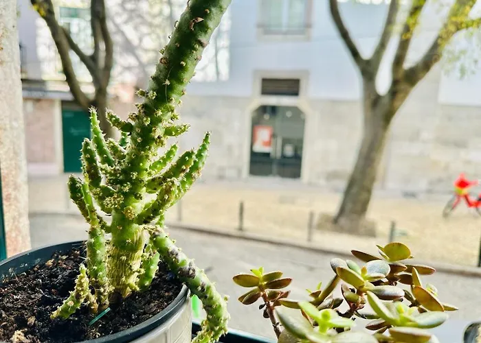 Lägenhet Varandas Do Marques Lisboa