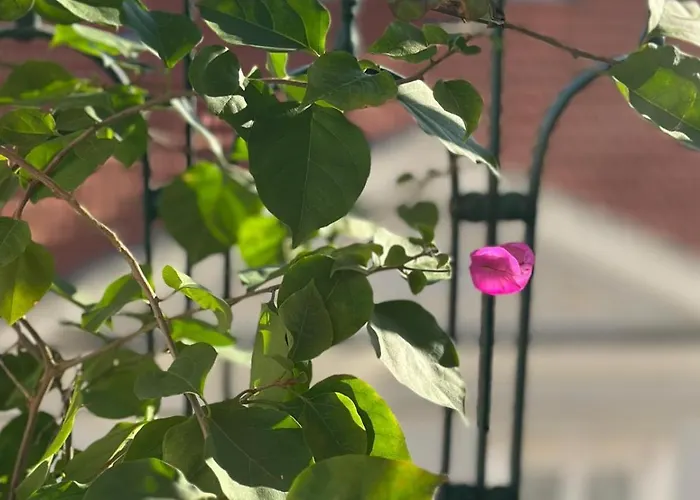 Varandas Do Marques Lisbon