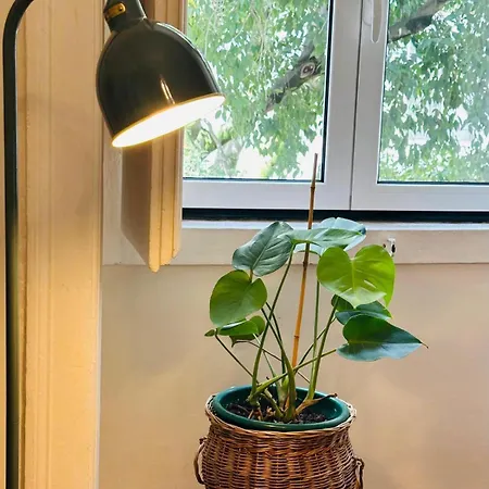 Varandas Do Marques דירה *